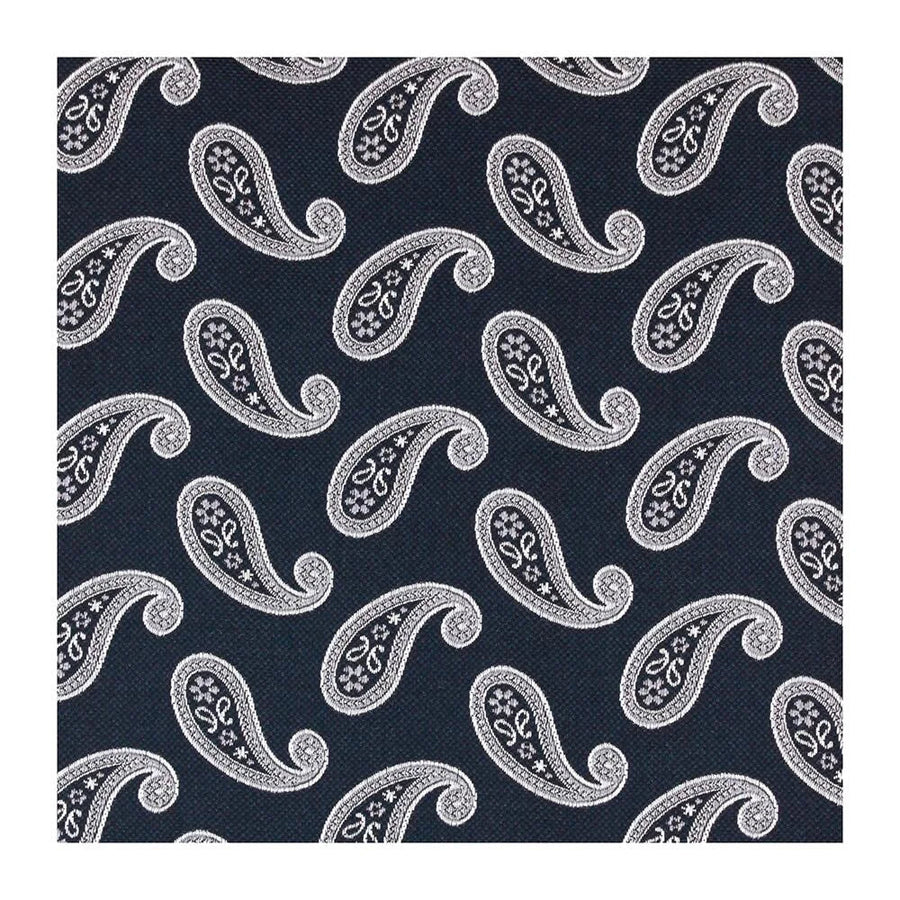 Classic Paisley Silk Pocket Square Black - Leonard Silver Pocket Squares