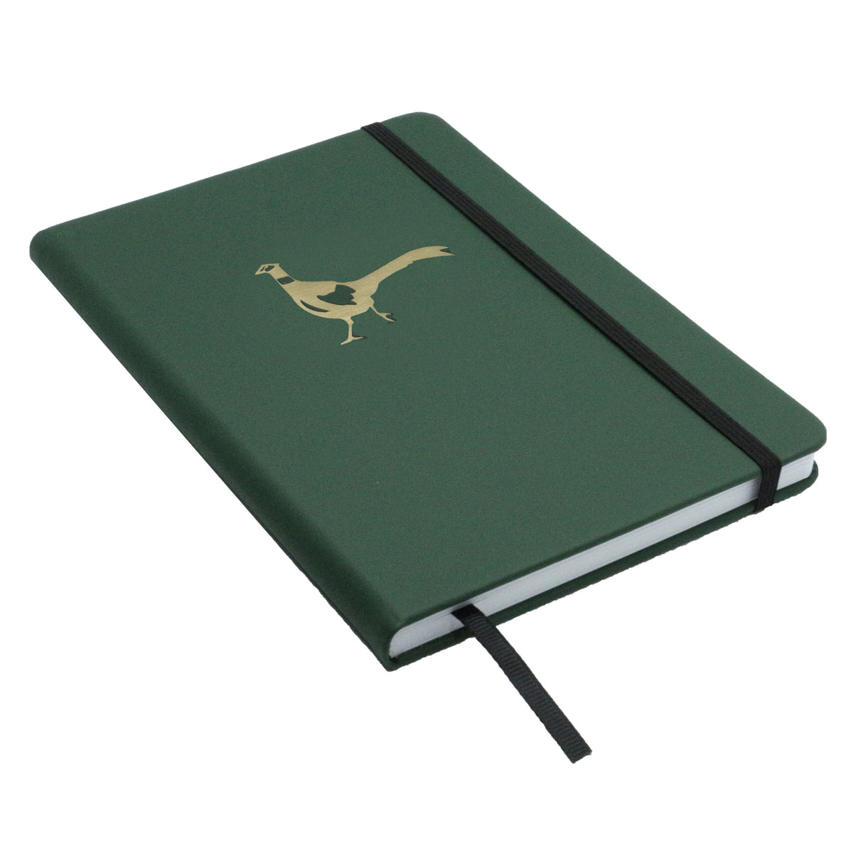 Green Pheasant A5 Lined Notebook - Leonard Silver - front cover with elastic band and ribbon marker