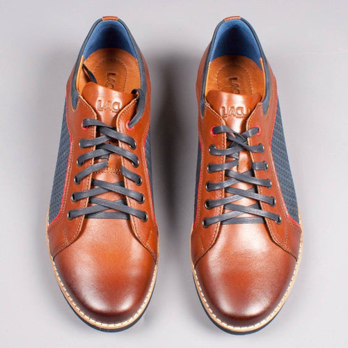 Lacuzzo Tan/Navy leather Sneaker - Lacuzzo